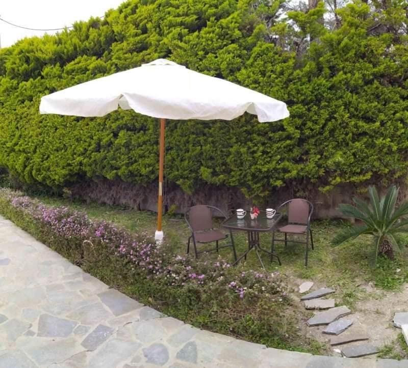 Villa Katerina Ialysos  Esterno foto