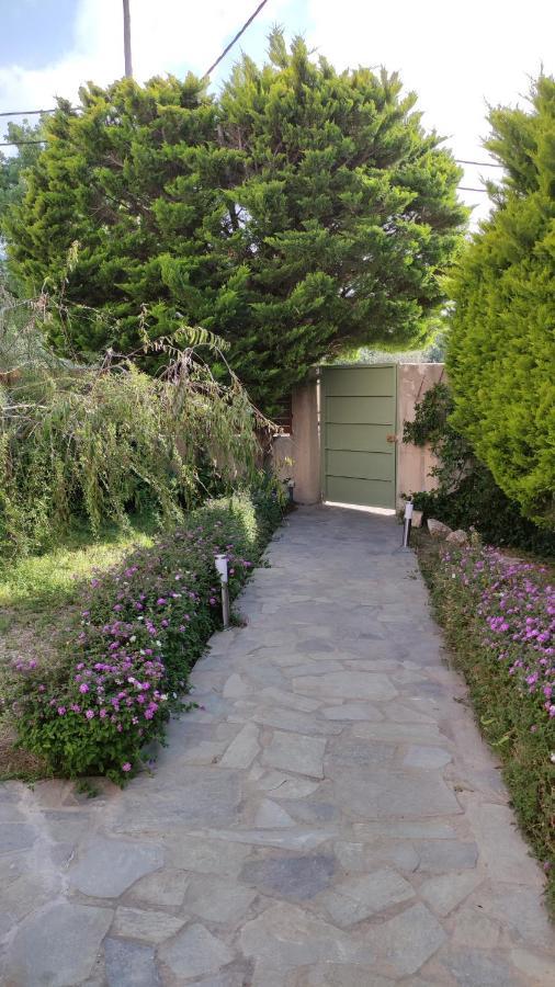Villa Katerina Ialysos  Esterno foto